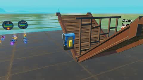 1v1 Private