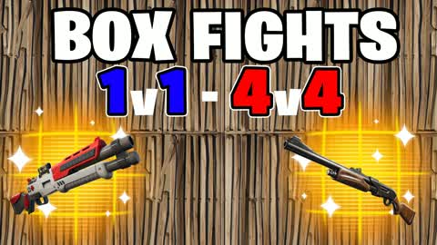 PRO BOX FIGHTS (1V1 TO 4V4)