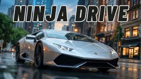 🚗NINJA DRIVE🚗